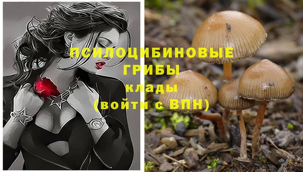 синтетический гашиш Алексеевка