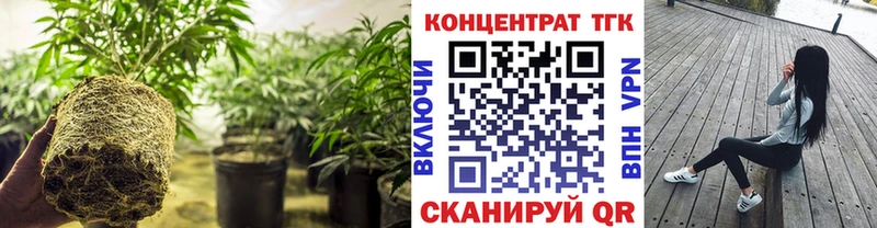 где можно купить Сосновка нарко площадка формула Дистиллят ТГК THC oil