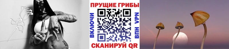 Галлюциногенные грибы MAGIC MUSHROOMS  закладки  Сосновка 